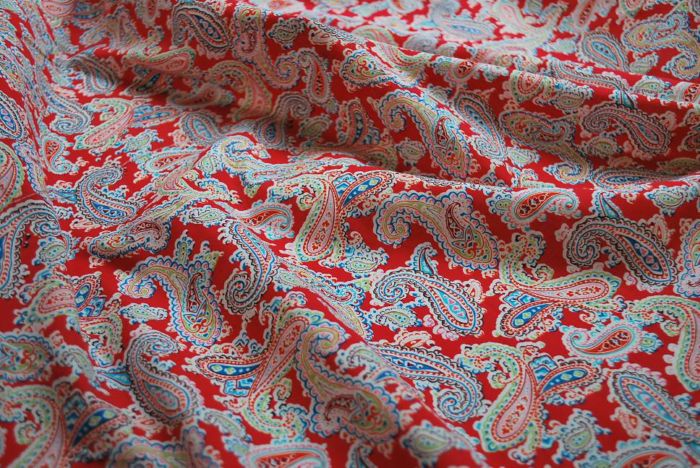 Wendy Woo cotton poplin paisley w